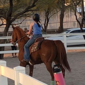 Meet your Posher, Zara